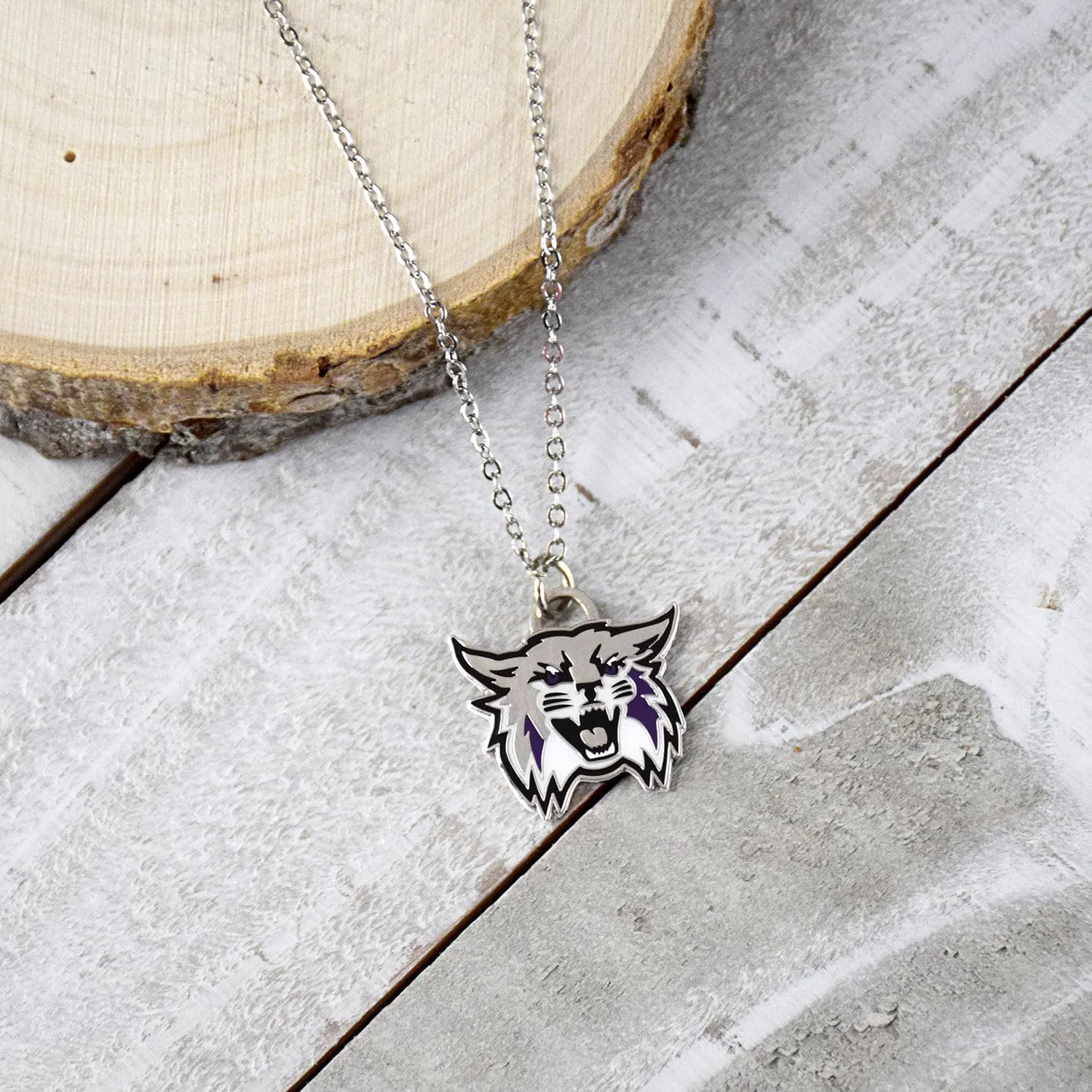 Fan Frenzy Gifts University Officially Licensed Fan Necklace