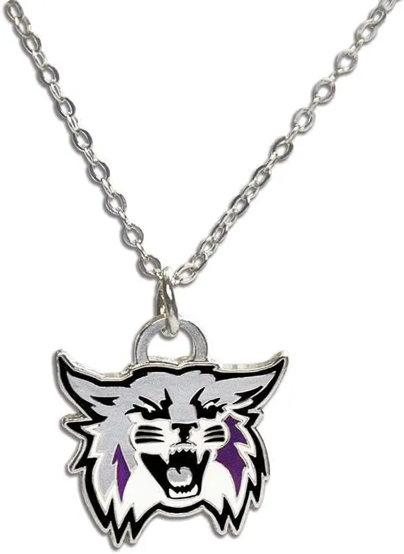 Fan Frenzy Gifts University Officially Licensed Fan Necklace
