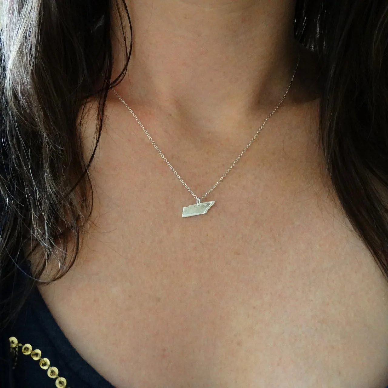 FashionJunkie4Life 925 Sterling Silver US States Pendant Necklaces