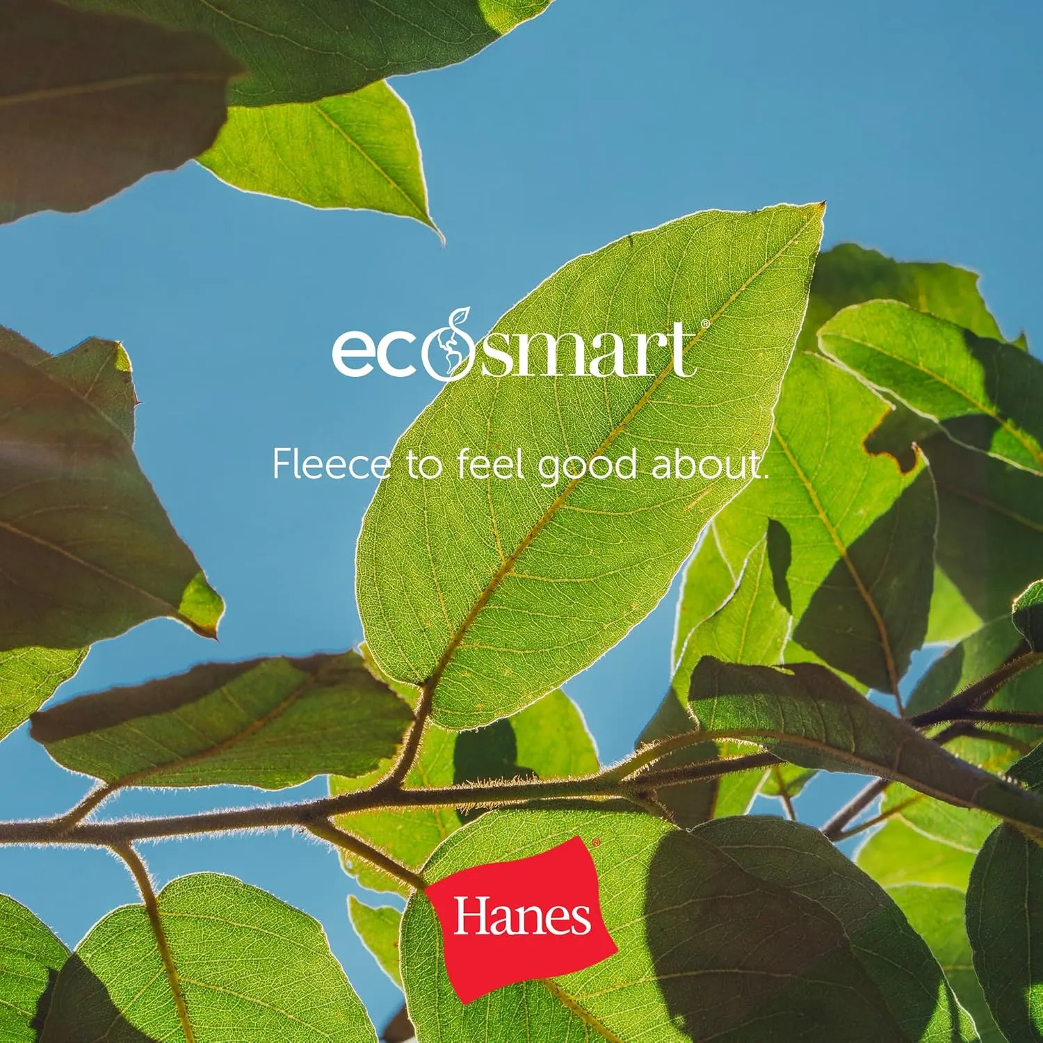 Hanes Boys' Eco Smart Pant
