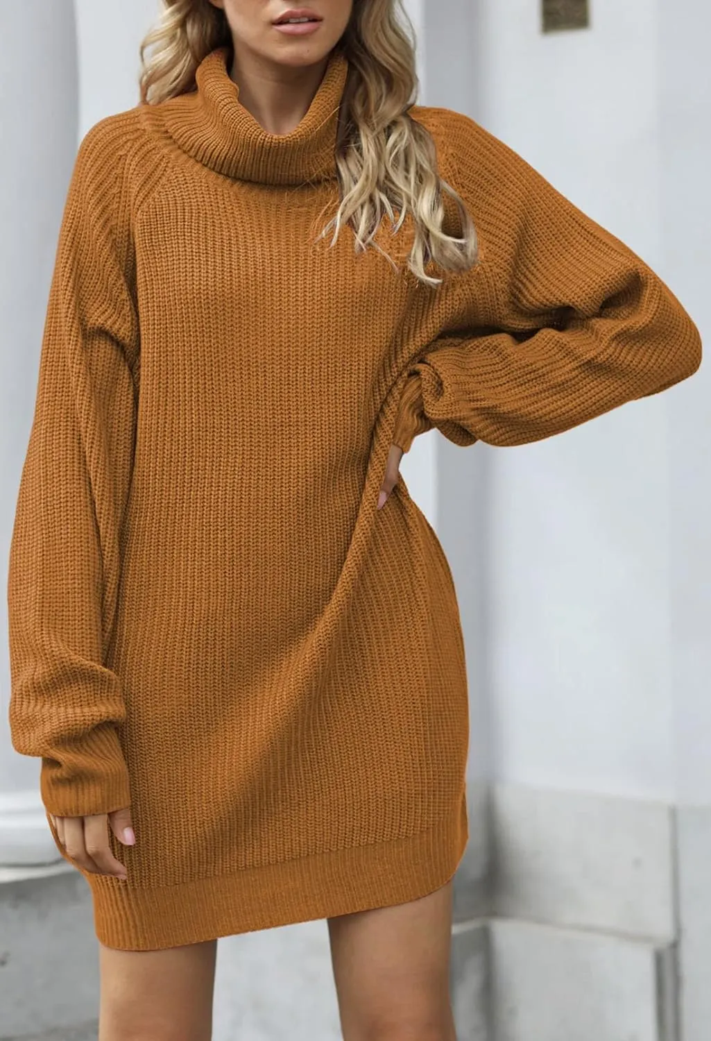Pink Queen Women's Loose Turtleneck Oversize Long Pullover Sweater Dress
